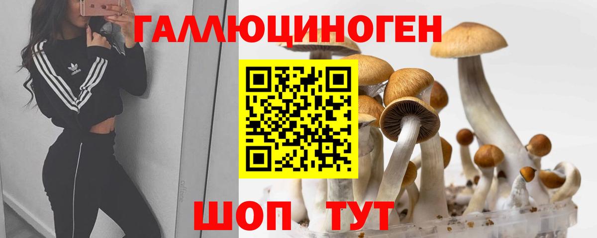 Галлюциногенные грибы Psilocybine cubensis  Псилоцибиновые грибы Psilocybine cubensis  сколько стоит  Вход с VPN  Асбест 